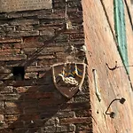 Pendola 9 * Siena
