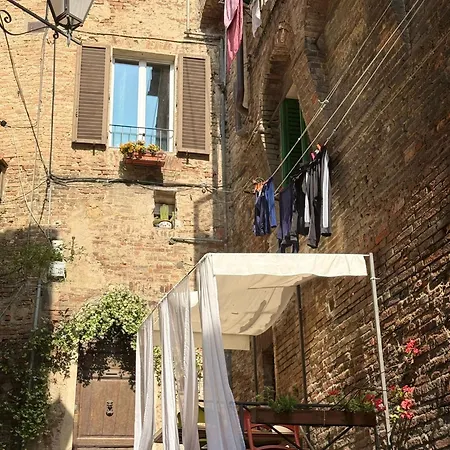 Pendola 9